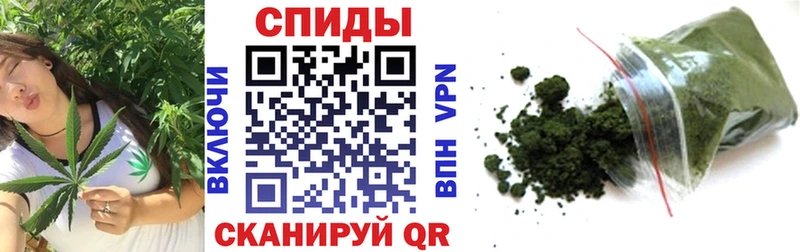 продажа наркотиков  Первомайск  Бутират бутандиол 