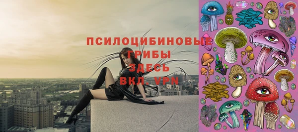 бутират Горняк