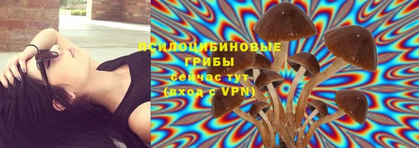 бутират Горняк