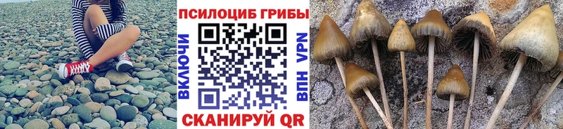 MEGA вход  Первомайск  Псилоцибиновые грибы MAGIC MUSHROOMS  купить  цена 